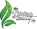 The Divine Connect to The Courts of Heaven Logo